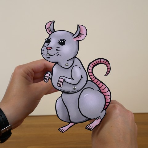 jennapandolls jenna pan dolls camille pagniez poupée marionnette handmade dolls puppets ooak made in ireland cork cork city customizing art craft monster high barbie fabric mister super clear jennapan